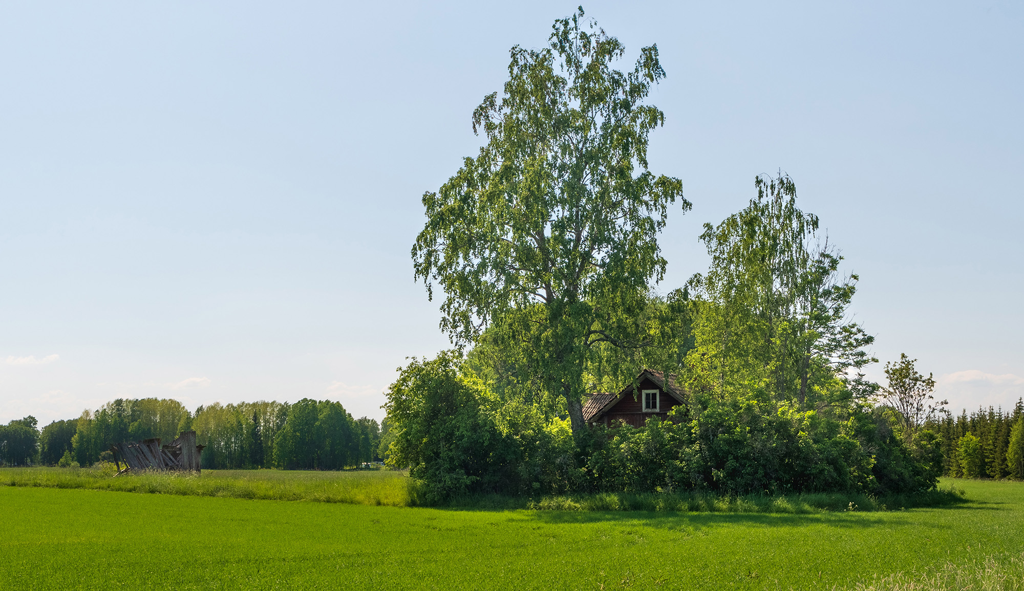 Torpet, dagtid juni 2019