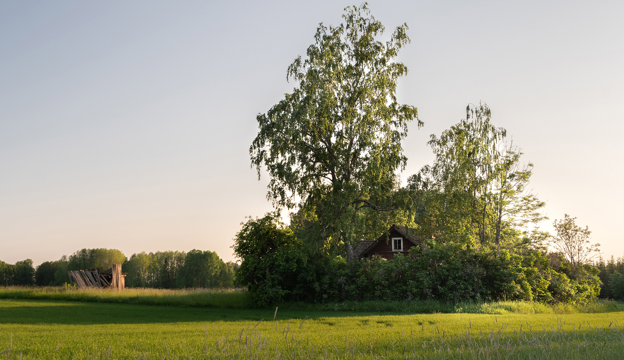 Torpet, kvällstid juni 2019