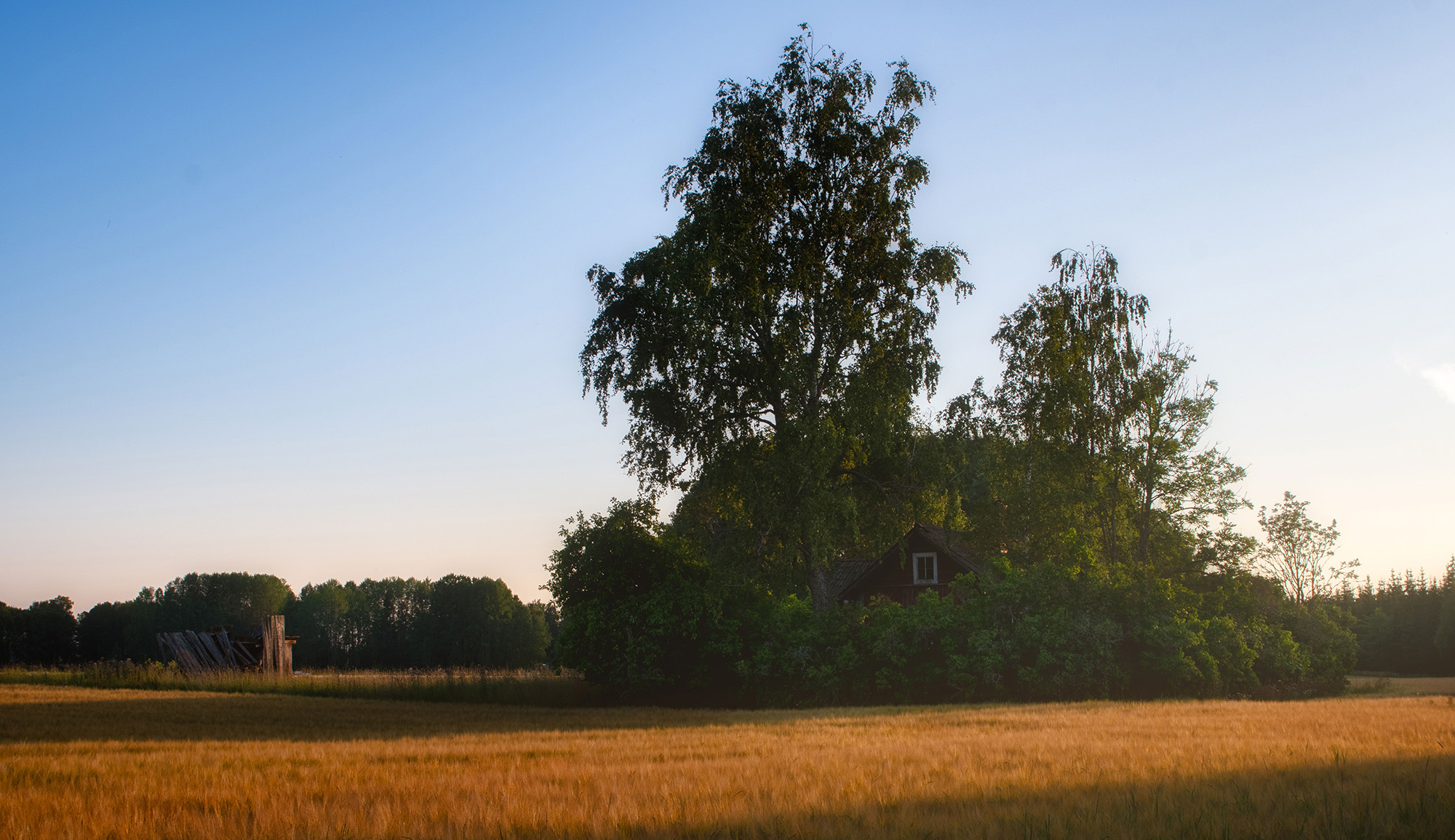 Torpet, kvällstid juli 2019