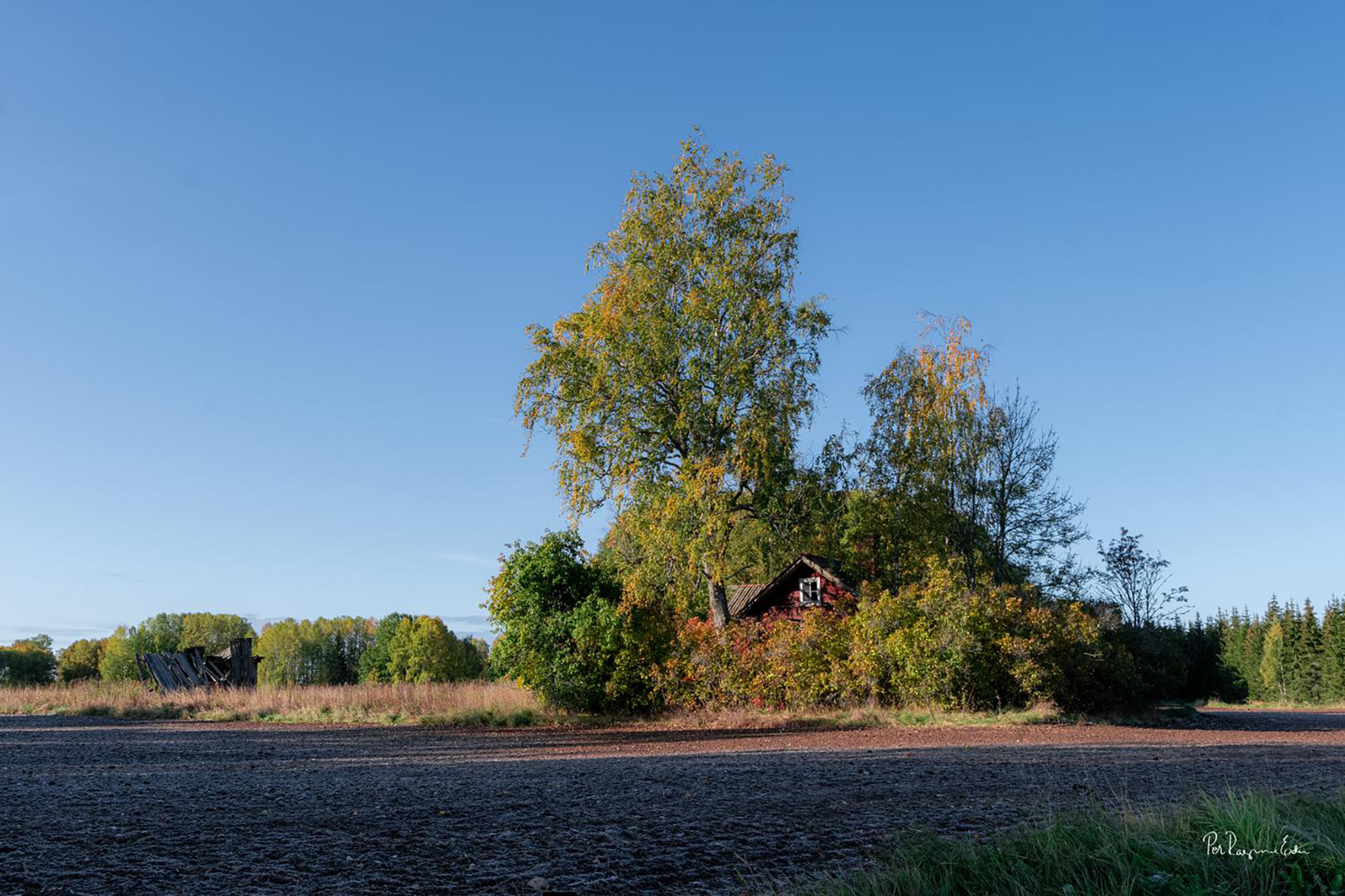 Torpet, hösten 2019