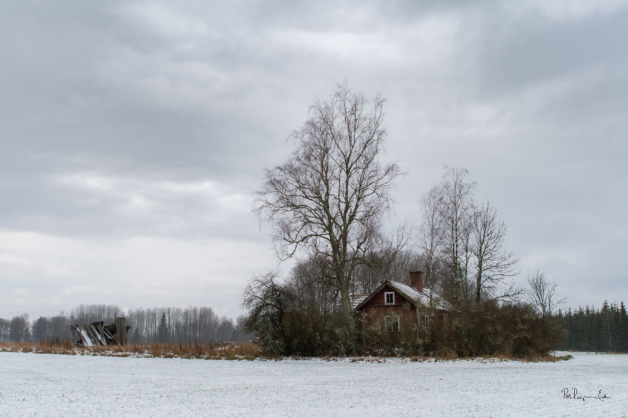 Torpet, tidig vinter 2019